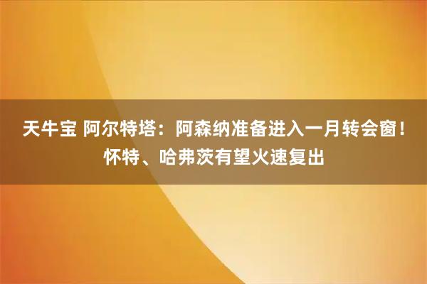 天牛宝 阿尔特塔：阿森纳准备进入一月转会窗！怀特、哈弗茨有望火速复出