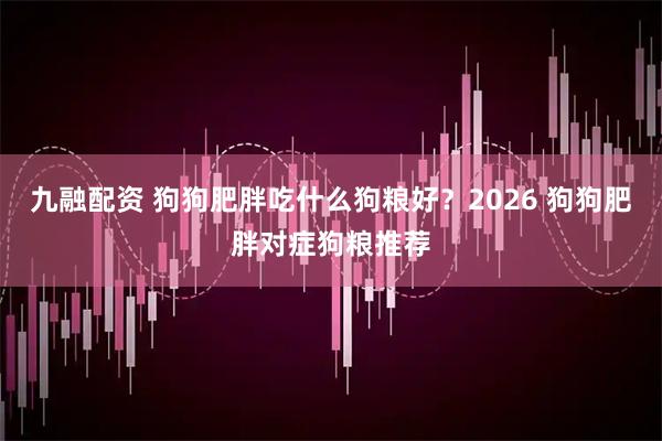 九融配资 狗狗肥胖吃什么狗粮好？2026 狗狗肥胖对症狗粮推荐