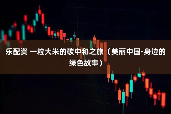 乐配资 一粒大米的碳中和之旅（美丽中国·身边的绿色故事）