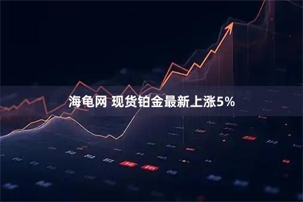 海龟网 现货铂金最新上涨5%